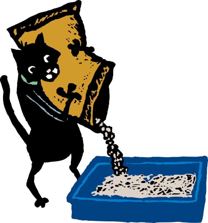 How Often Should I Change Kitty Litter?